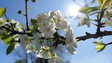 Imágen referencial.&nbsp;