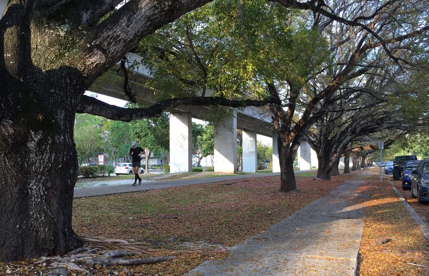 Otro aspecto del actual paseo que corre por debajo del Metrorail.