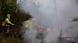 Bomberos combaten un incendio en el Bosque Nacional Jacundá en la región de la Amazonía, Brasil.
