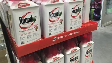 La corte neg&oacute; la moci&oacute;n de Monsanto para un nuevo juicio con la condici&oacute;n de que el demandante aceptara un acuerdo de 10,2 millones de d&oacute;lares.