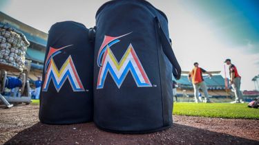 Los Marlins de Miami han tenido un inicio de temporada adverso.