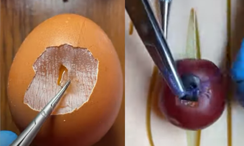 Estudiante de medicina practica cirugía con alimentos frescos