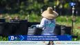 anticipan impacto negativo con nueva ley de inmigracion
