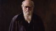 El naturalista británico Charles Darwin.&nbsp;
