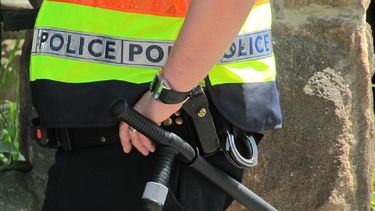 Raja&nbsp;puede ser condenado a cadena perpetua en la audiencia de sentencia prevista para abril próximo.