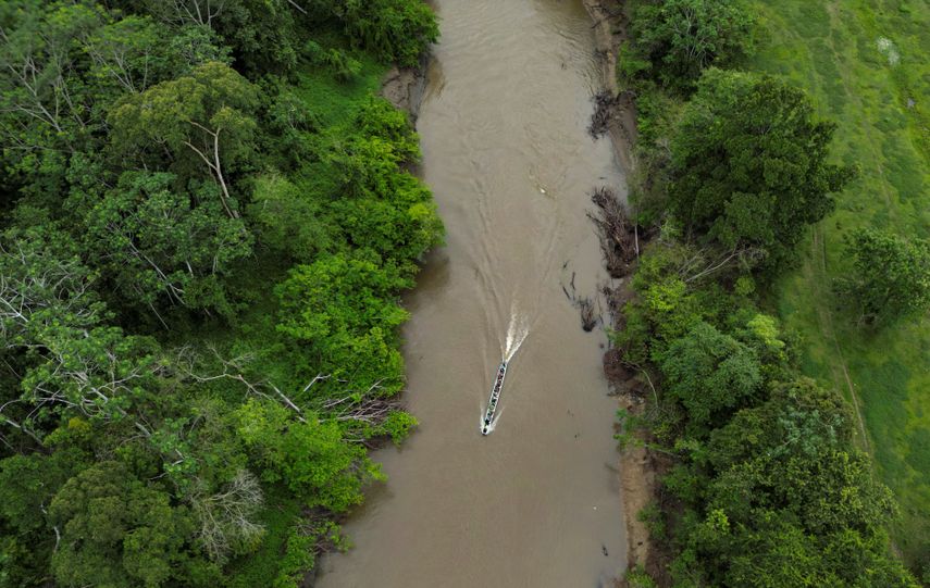 Selva del Darién. Panamá.&nbsp;