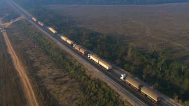 Camiones est&aacute;n varados en la carretera BR-163, bloqueada por ind&iacute;genas Kayapo cerca de Novo Progreso, en el estado de Par&aacute;, Brasil, el 17 de agosto de 2020.