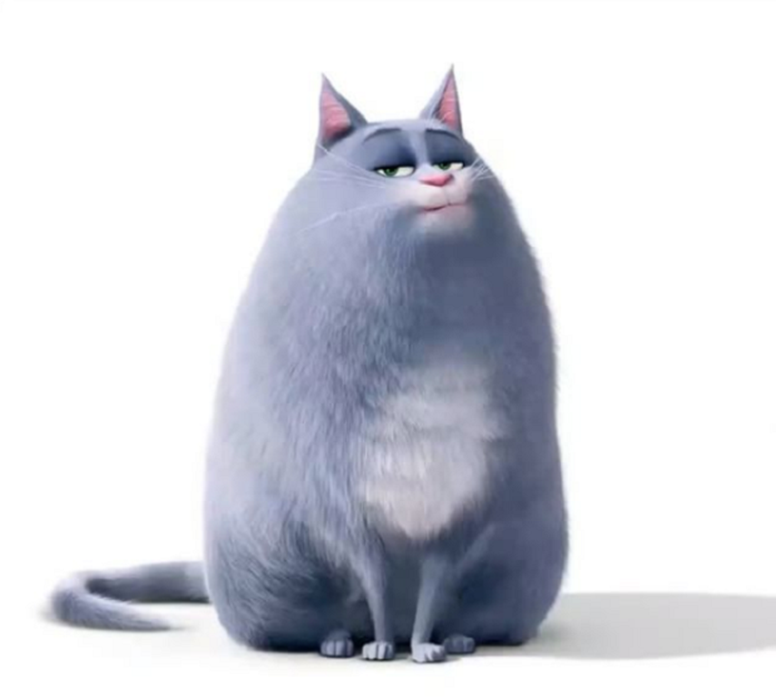 The Secret Life of Pets. (INSTAGRAM)