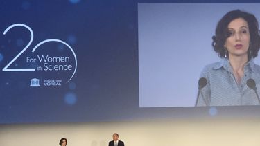 &nbsp;Liga&nbsp;Masculina de&nbsp;Científicos&nbsp;For Women In Science