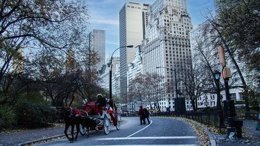 Sector de Nueva York, desde Parque Central.