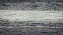 En esta imagen proporcionada por las Fuerzas Armadas de Dinamarca se ven aguas agitadas cerca de una fuga de gas en un gasoducto submarino en el Mar Báltico, el jueves 29 de septiembre de 2022. 