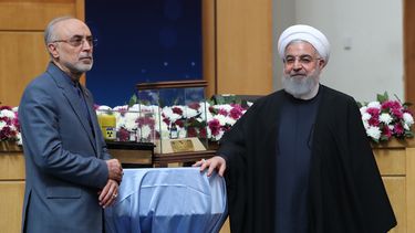  Ali Akbar Salehi (izq.), responsable de la agencia de energía atómica de Irán.  