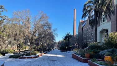 Nieve en la Universidad Estatal de Florida. 