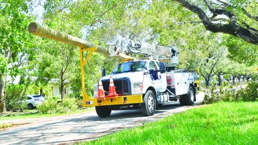 La Ciudad de Coral Gables, caracterizada por su gran cantidad de árboles, emprende labores de recogida de ramas y desechos.