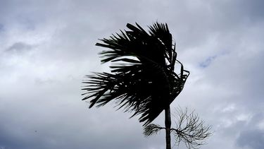 Un hombre mira el clima que se deteriora ante la inminente llegada del huracán Dorian en&nbsp;Freeport, Grand Bahama, Bahamas, el domingo 1 de septiembre de 2019.&nbsp;