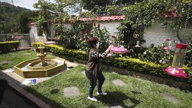 Leonor Pardo llena un comedero para colibríes en su jardín en San Francisco de Sales, Colombia, el jueves 10 de diciembre de 2020. Lo que comenzó como una fuente de alimentación de aves en su jardín hace 35 años se ha convertido en una atracción turística en San Francisco de Sales, una ciudad a unos 55 kilómetros al norte de la capital de Colombia.&nbsp;