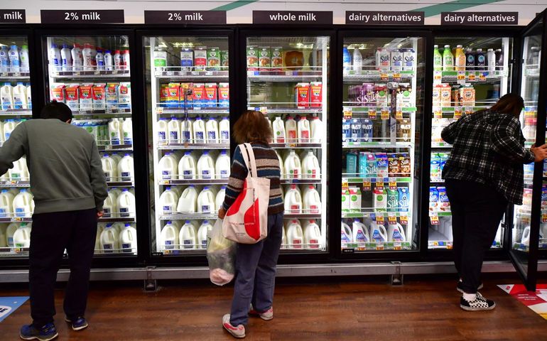 Varios personas en buscan productos lácteos en un supermercado.