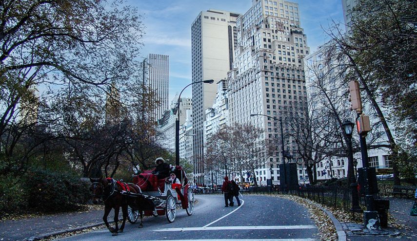 Sector de Nueva York, desde Parque Central.