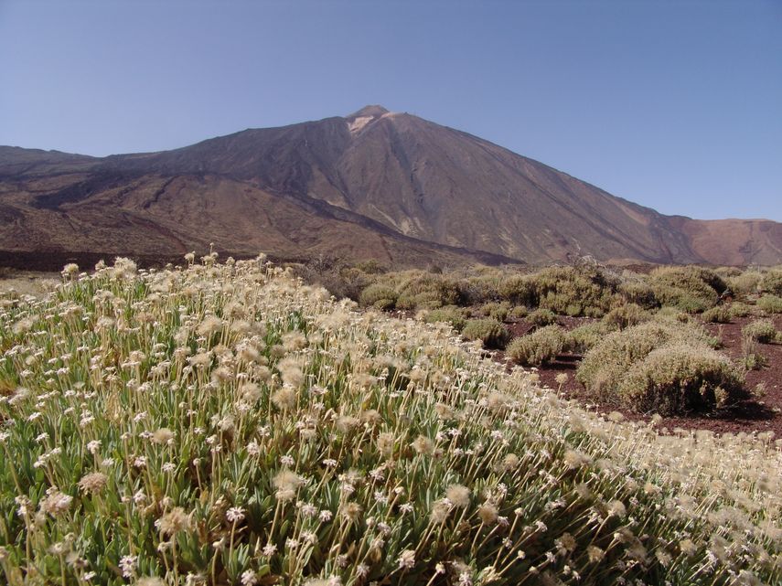 El volcán El Teide luce empinado y majestuoso en el centro de la isla de Tenerife.