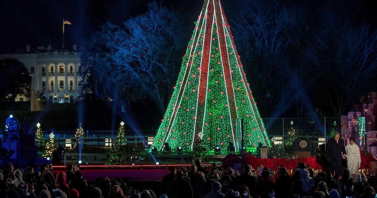 Cuando encienden el arbol de la casa blanca deals 2018