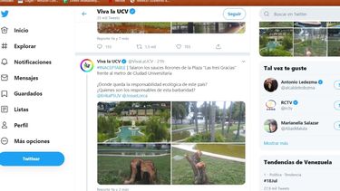 Los sauces llorones de m&aacute;s de 60 a&ntilde;os de historia en esta plaza caraque&ntilde;a fueron talados bajo ning&uacute;n argumento.