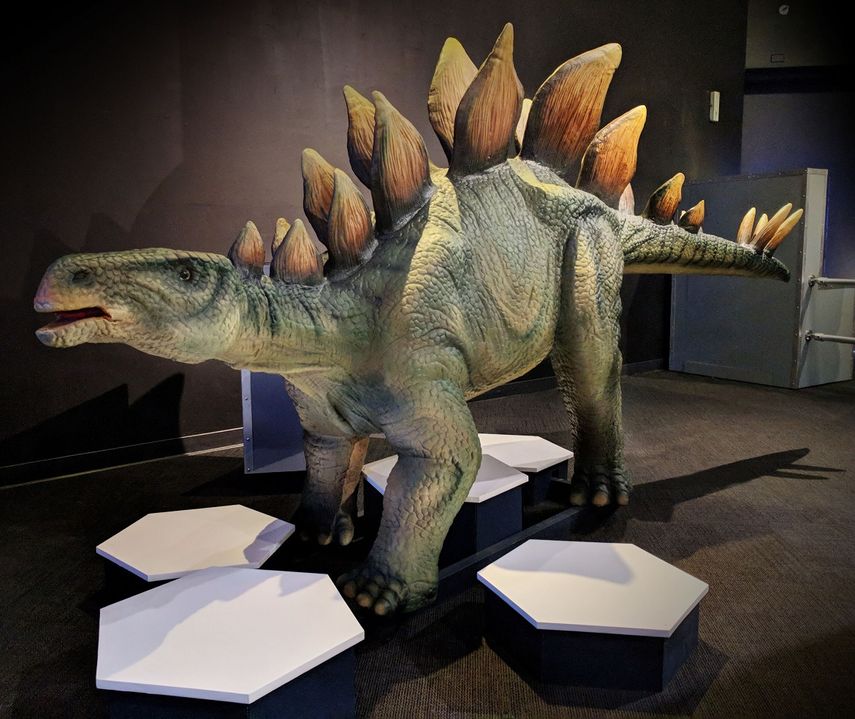 Desde este s&aacute;bado 25 de enero y hasta el 25 de mayo, los visitantes del Museum of Discovery and Science viajar&aacute;n en el tiempo con la nueva exposici&oacute;n Expedition: Dinosaur.&nbsp;