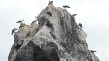 Diario las Américas | DSC03307.jpgI