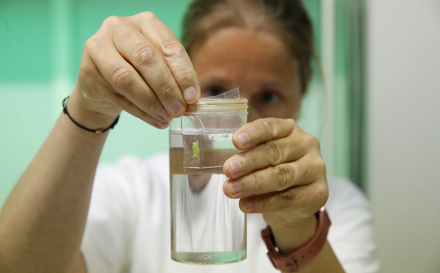 La investigadora Paola Turini trabaja en el laboratorio Avantea durante la inseminaci&oacute;n de &oacute;vulos de las &uacute;ltimas dos rinocerontes blancos del norte con esperma congelado de un macho de la misma especie en Cremona, Italia.