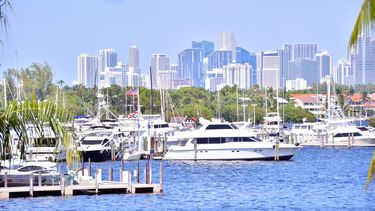 Las autoridades afirman que tanto en Miami como en Miami-Dade no hay leyes que las detemrinen como santuarios.