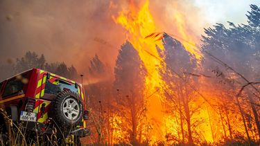 Fotografía facilitada por la brigada antiincendios SDIS 33 muestra las llamas consumiendo árboles cerca de Landiras, en el suroeste de Francia, el sábado 16 de julio de 2022.&nbsp;