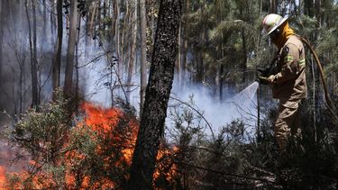 Un miembro de la Guardia Nacional Republicana (GNR) portuguesa combate el fuego en Alto da Louriceira. 