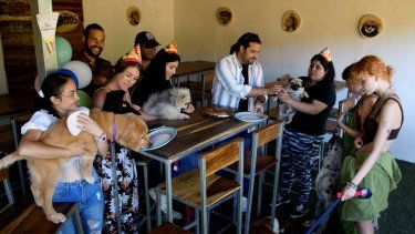 Personas con sus perros celebran el cumpleaños de Mika, una perrita pomerania que cumplió 5 años, en un restaurante canino en Cartago, en Costa Rica.