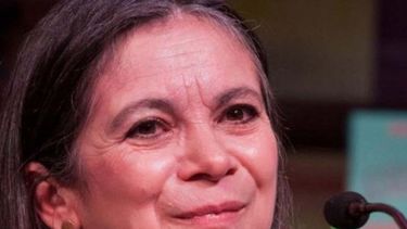 Nacida en Ciudad de&nbsp;M&eacute;xico&nbsp;en 1954, Carmen Boullosa cuenta entre sus publicaciones m&aacute;s recientes con La Impropia, Narco Historia y C&oacute;mo Estados Unidos y M&eacute;xico crearon juntos la guerra mexicana contra las drogas.&nbsp;