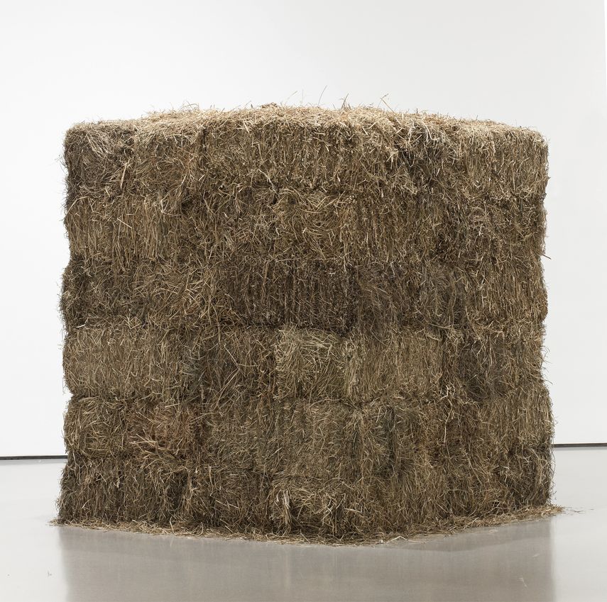 Esta imagen emitida por el Museo de Arte Moderno de Nueva York muestra Fio, una obra del brasileño Cildo Meireles, realizada con heno y una aguja de oro. La obra será parte de una exhibición de arte latinoamericano que arrancará en el MoMa en 2023.