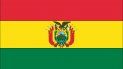 bolivia detiene a funcionaria durante el gobierno de anez bolivia detiene a funcionaria durante el gobierno de anez