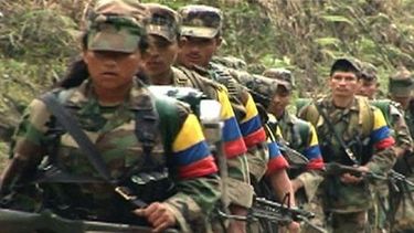 El alto al fuego decretado por las FARC depende de la observación internacional. (EFE)