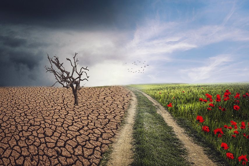 El cambio climático afecta a todo el mundo.&nbsp;