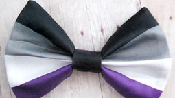 Vista de un lazo elaborado con los colores del orgullo asexual.