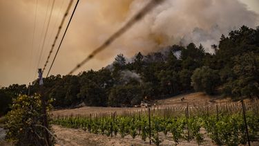 Los incendios en California llegan al mundialmente famoso Napa Valley, zona de gigantescos vi&ntilde;edos.