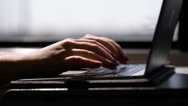 Una persona utiliza su laptop.