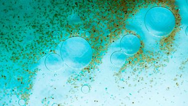 Imagen referencial.&nbsp;