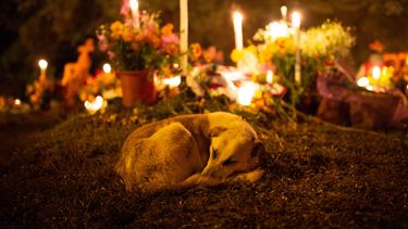 Pobladores velan a sus muertos hoy, 2 de Noviembre de 2018, en el panteón de la localidad del municipio de Arocutín en Erongarícuaro, estado de Michoacán (México).