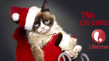 Grumpy Cat en una fotografía sin fecha proporcionada por Lifetime. Una película con actores verdaderos titulada Grumpy Cats Worst Christmas Ever se filmará en los próximos meses. (Foto AP/Lifetime)