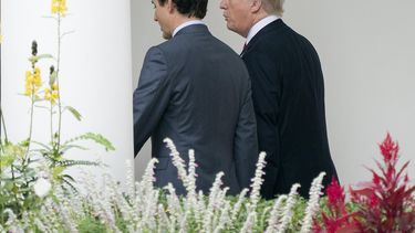 El presidente estadounidense, Donald J.&nbsp;Trump&nbsp;(d), camina junto al primer ministro canadiense, Justin Trudeau (i), en la Casa Blanca, en Washington, EEUU, este 11 de octubre de 2017.