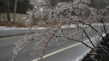 La escena en medio de una tormenta invernal en Rutland, Massachusetts el 30 de diciembre del 2019.