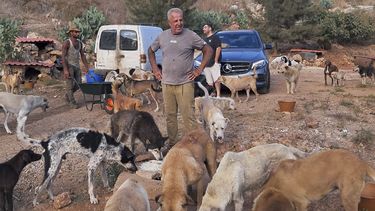En esta fotografía proporcionada por Mashala Shelte en 2024, Hussein Hamza alimenta a perros en su refugio para animales en Kfour, en el sur del Líbano.&nbsp;