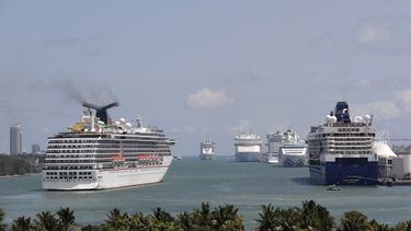 Varios cruceros en aguas de Miami.