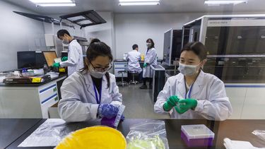 Técnicos trabajan en el laboratorio de investigación de ADN para la secuenciación de genes, en Nanjing (China).&nbsp;