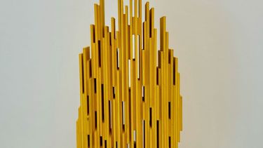 Allegro Yellow, de Mariana Copello.