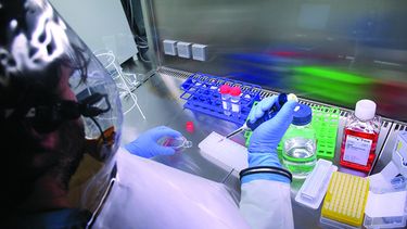 La duda que se plantea en torno a estos nuevos sistemas de inoculación es cómo usarlos para enfrentar este nuevo brote si ninguno ha sido puesto a prueba de forma rigurosa en seres humanos. (Archivo)